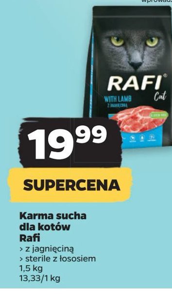 Karma dla kota z jagnięcina Rafi cat promocja