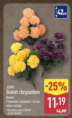 Bukiet chryzantem promocja w Aldi