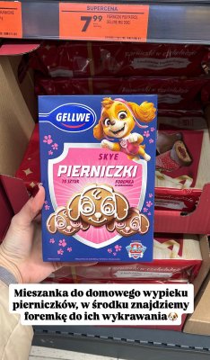 Pierniczki Psi Patrol Gellwe Mix Skye promocja w Biedronka