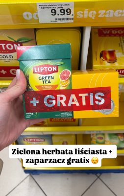 Herbata zielona cytrus Lipton Green Tea Citrus + zaparzacz gratis promocja w Dino
