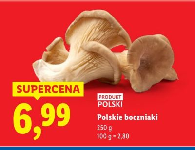 Boczniaki Polskie boczniaki promocja w Lidl