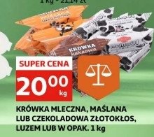 Krówka czekoladowa Złotokłos promocja