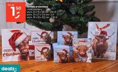 Torebka prezentowa różne rozmiary promocja w Dealz