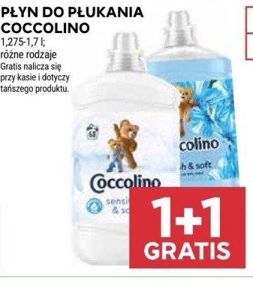 Płyn do płukania różne rodzaje promocja w Stokrotka