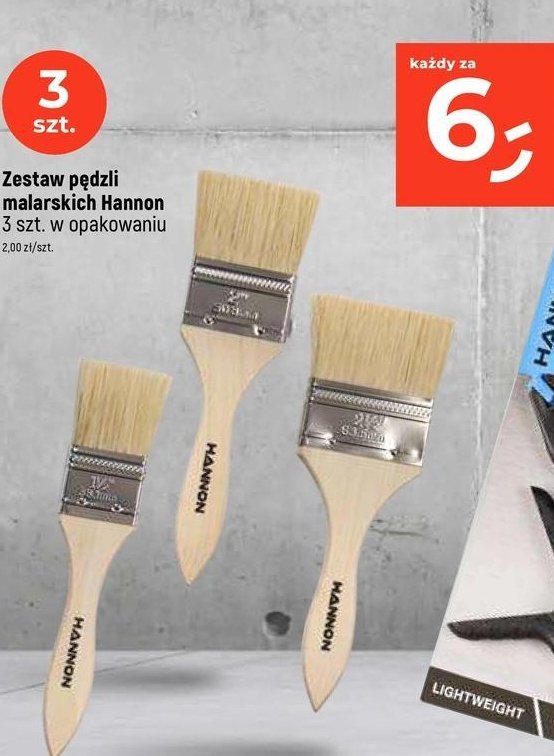 Zestaw pędzli malarskich Hannon promocja