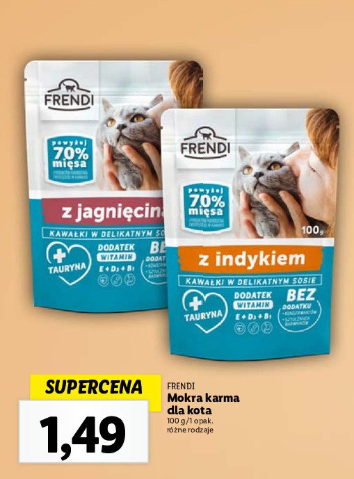 Karma dla kota z indykiem FRENDI promocja