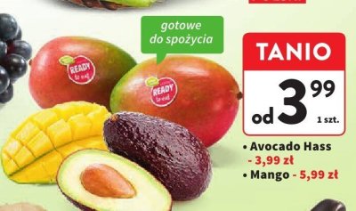 Mango promocja w Intermarche