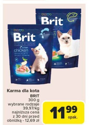 Karma dla kota kurczak BRIT PREMIUM promocja w Carrefour