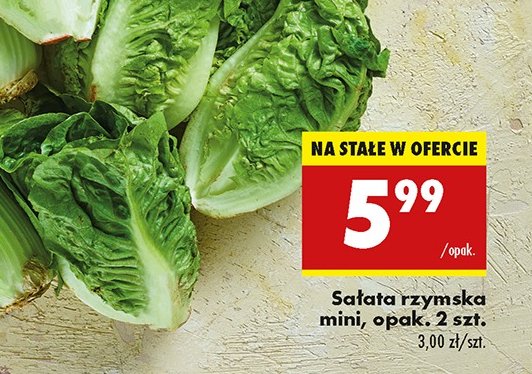 Sałatka rzymska mini promocja