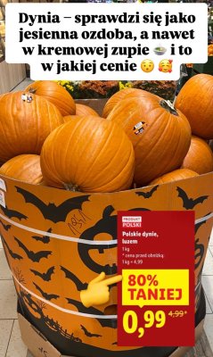 Dynia polska luzem Lidl promocja w Lidl
