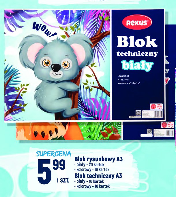 Blok techniczny kolorowy a3 10 kartek Rexus promocja