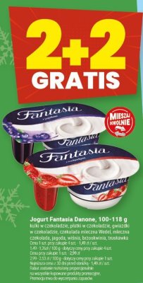 Jogurt Fantasia Danone, 100-118 g promocja w Twój Market