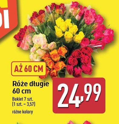 Róże długie 60 cm promocja