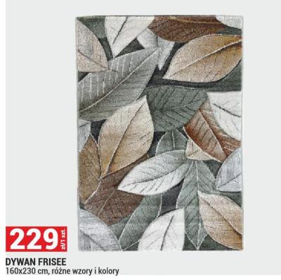 Dywan FRISEE 160x230 cm promocja w Merkury Market