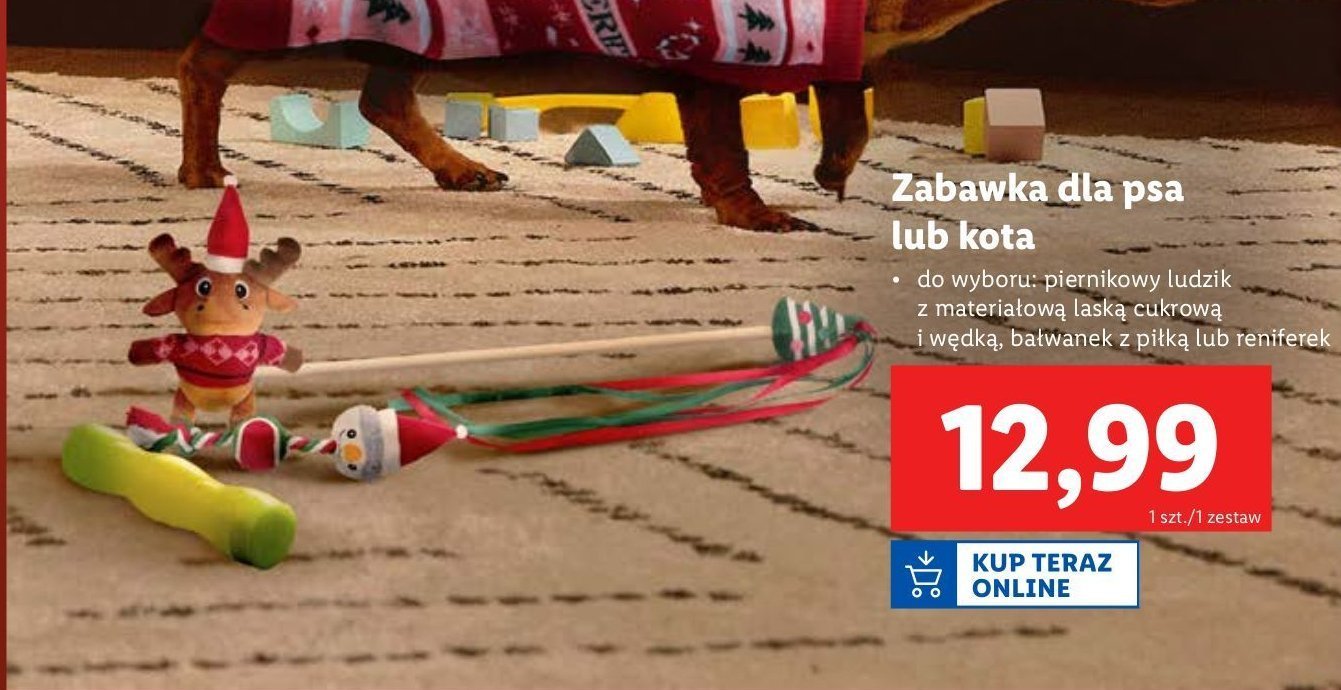 Zabawka dla kota promocja w Lidl