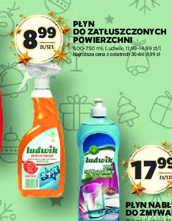 Płyn do zatłuszczonych powierzchni Ludwik promocja w Stokrotka