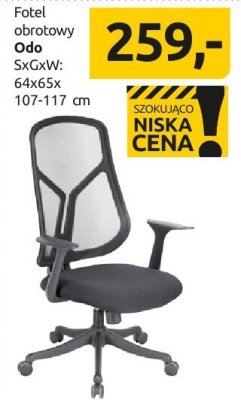 Fotel obrotowy Odo promocja w Black Red White