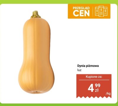 Dynia piżmowa luz promocja w Dino