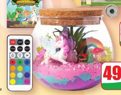 Terrarium podświetlane promocja w Dino