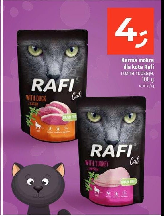 Karma dla kota z kaczką Rafi cat promocja