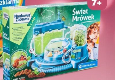 Zestaw Naukowa Zabawa Świat Mrówek 7+ promocja w Netto