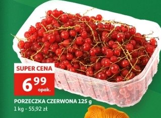 Porzeczka czerwona promocja