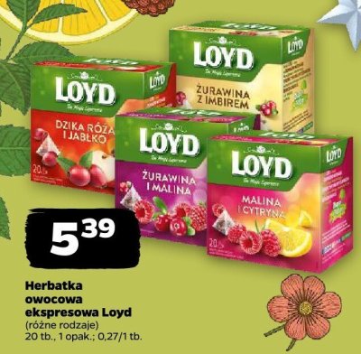 Herbatka owocowa ekspresowa Loyd (różne rodzaje) promocja w Netto