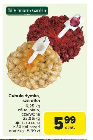 Cebula szalotka Vilmorin garden promocja w Carrefour Market