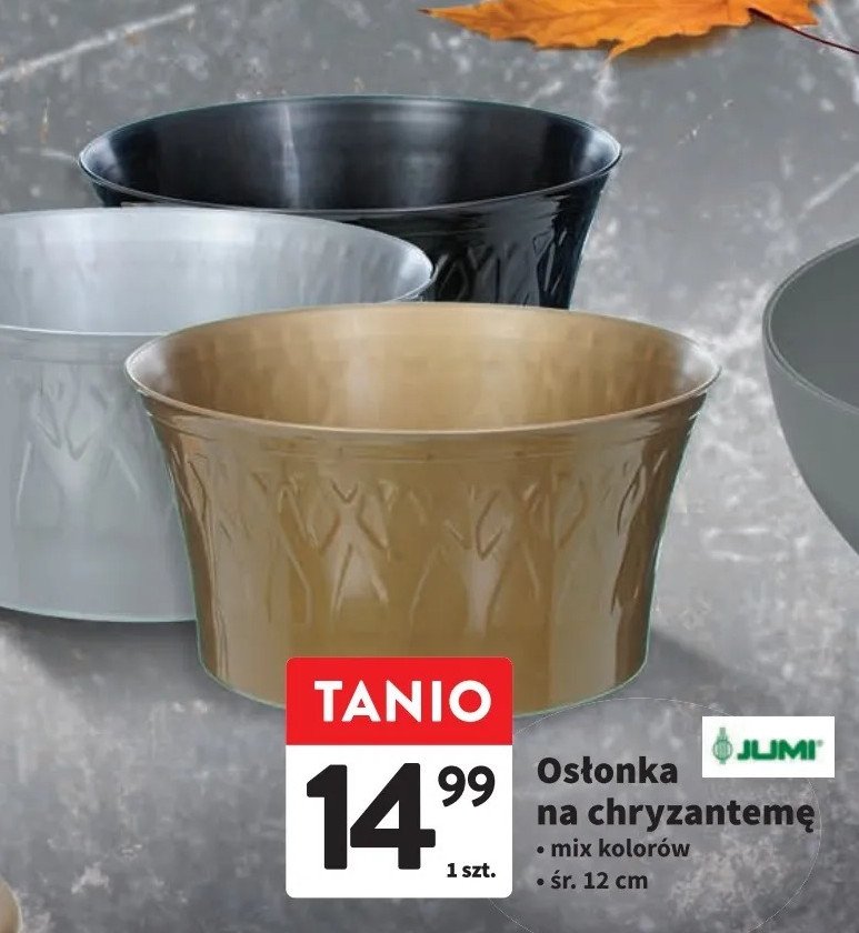 Osłonka na chryzantemę 12 x 23 cm Jumi promocja w Intermarche