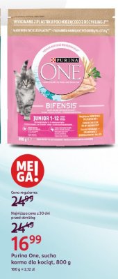Karma dla kota junior Purina promocja