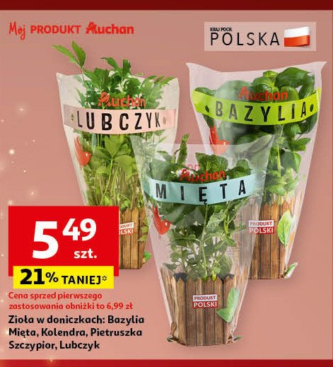 Lubczyk Auchan różnorodne (logo czerwone) promocja w Auchan