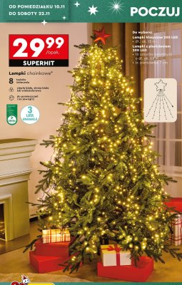 Lampki z pierścieniem 1,9 cm promocja w Biedronka