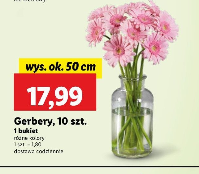 Gerbery 50 cm promocja