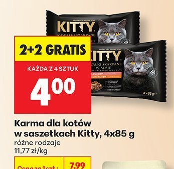 Karma dla kotów w saszetkach, różne rodzaje 2+2 GRATIS promocja w Biedronka
