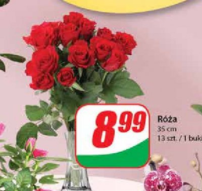 Róża bukiet 13 sztuk promocja