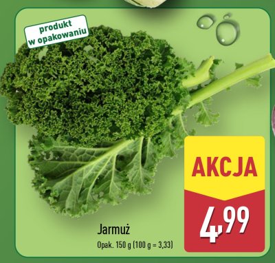 Jarmuż promocja w Aldi