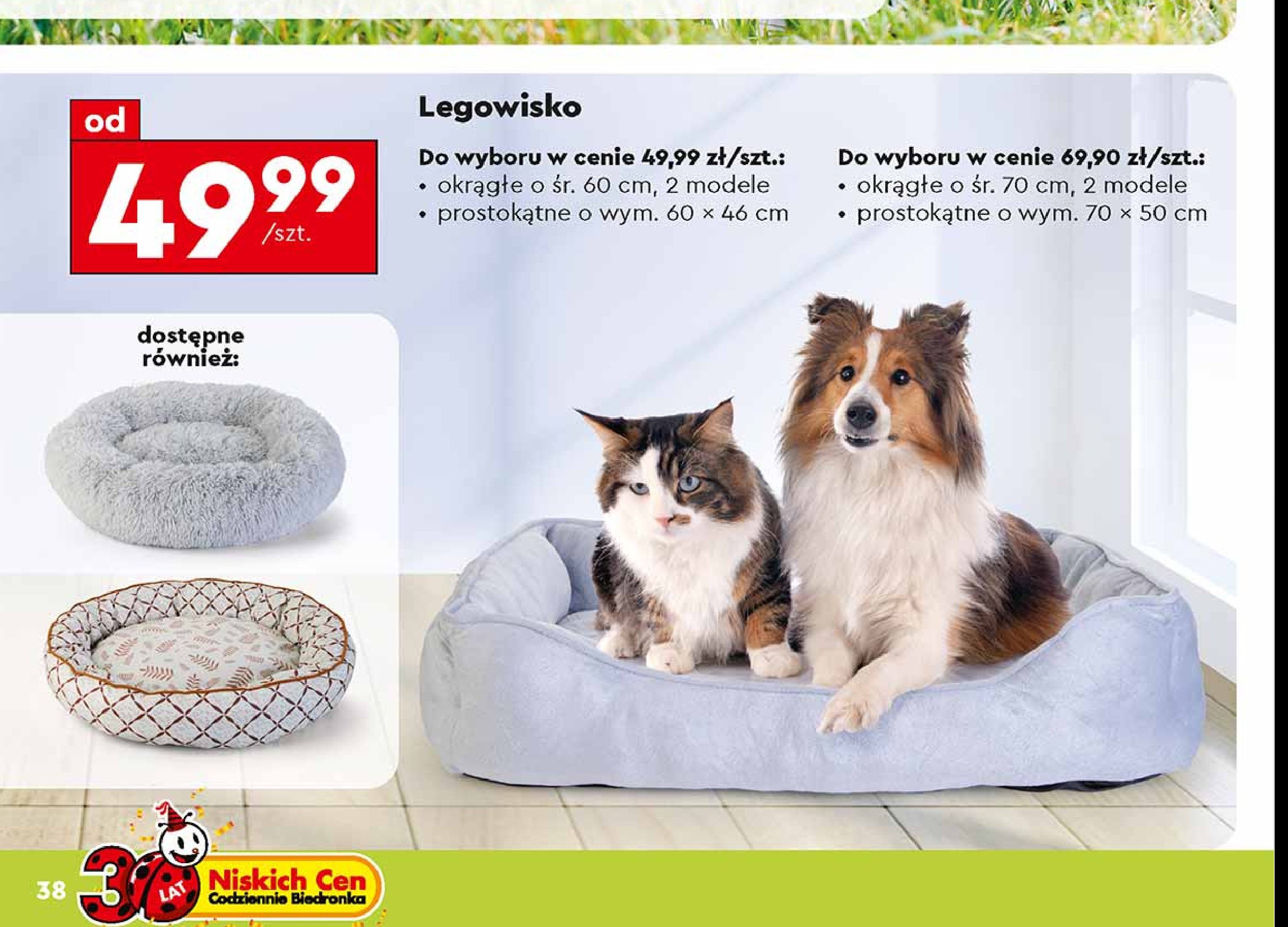 Legowisko dla psa 70 cm promocja w Biedronka