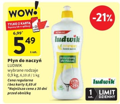 Płyn do naczyń wybrane rodzaje Ludwik promocja w Intermarche