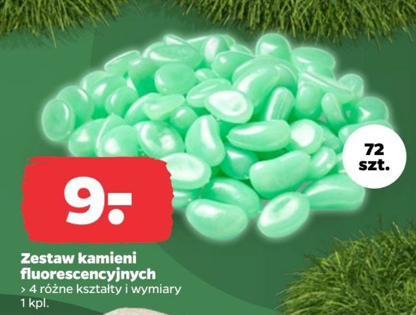 Kamienie fluoryscencyjne promocja w Netto