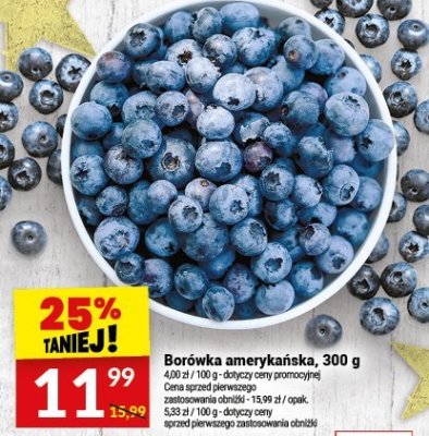 Borówka amerykańska, 300 g promocja w Twój Market