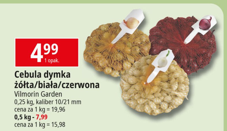 Cebula dymka biała Vilmorin garden promocja w Leclerc