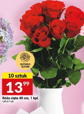 Róża cięta 40 cm, 1 kpl. promocja w Twój Market