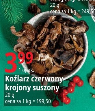 Ko藕larz czerwony promocja