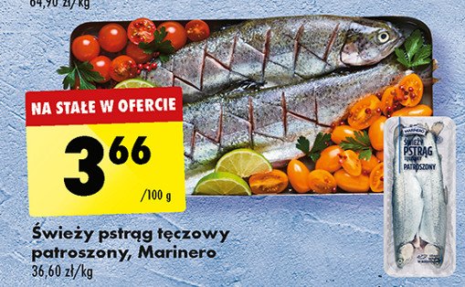 Pstrąg tęczowy patroszony Marinero promocja