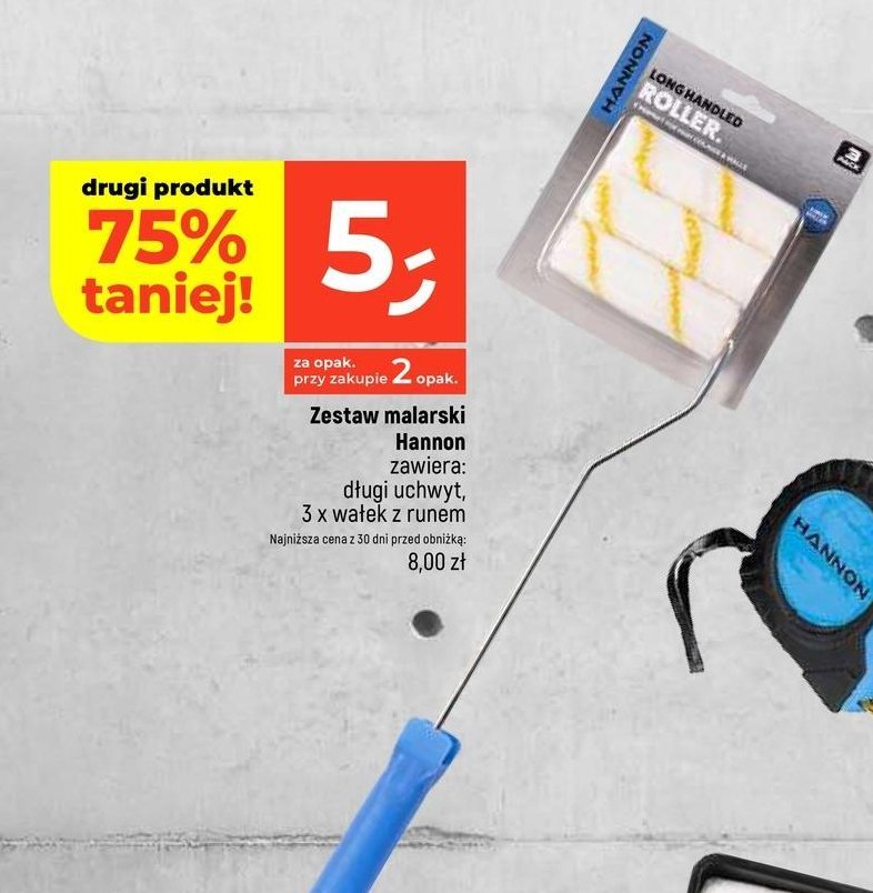Zestaw wa艂k贸w malarskich Hannon promocja