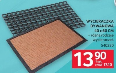 Wycieraczka dywanowa 40 x 60 cm promocja w Selgros