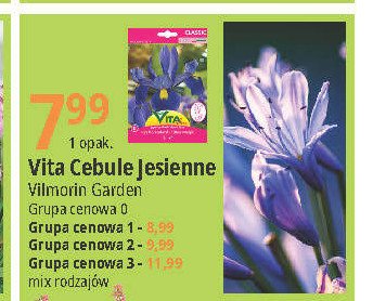 Cebulki kwiat贸w gr 3 Vilmorin garden promocja