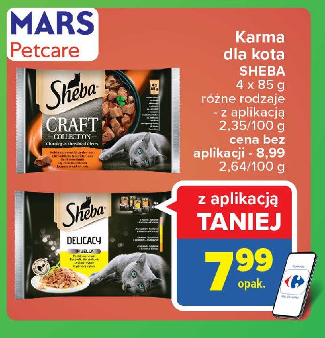 Karma dla kota soczyste smaki Sheba craft collection promocja