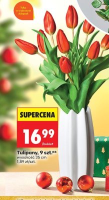 Tulipany, 9 szt., wysokość 35 cm promocja w Biedronka