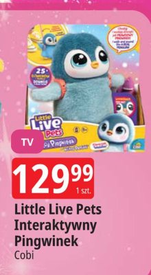 Little Live Pets Interaktywny Pingwinek Cobi promocja w Leclerc